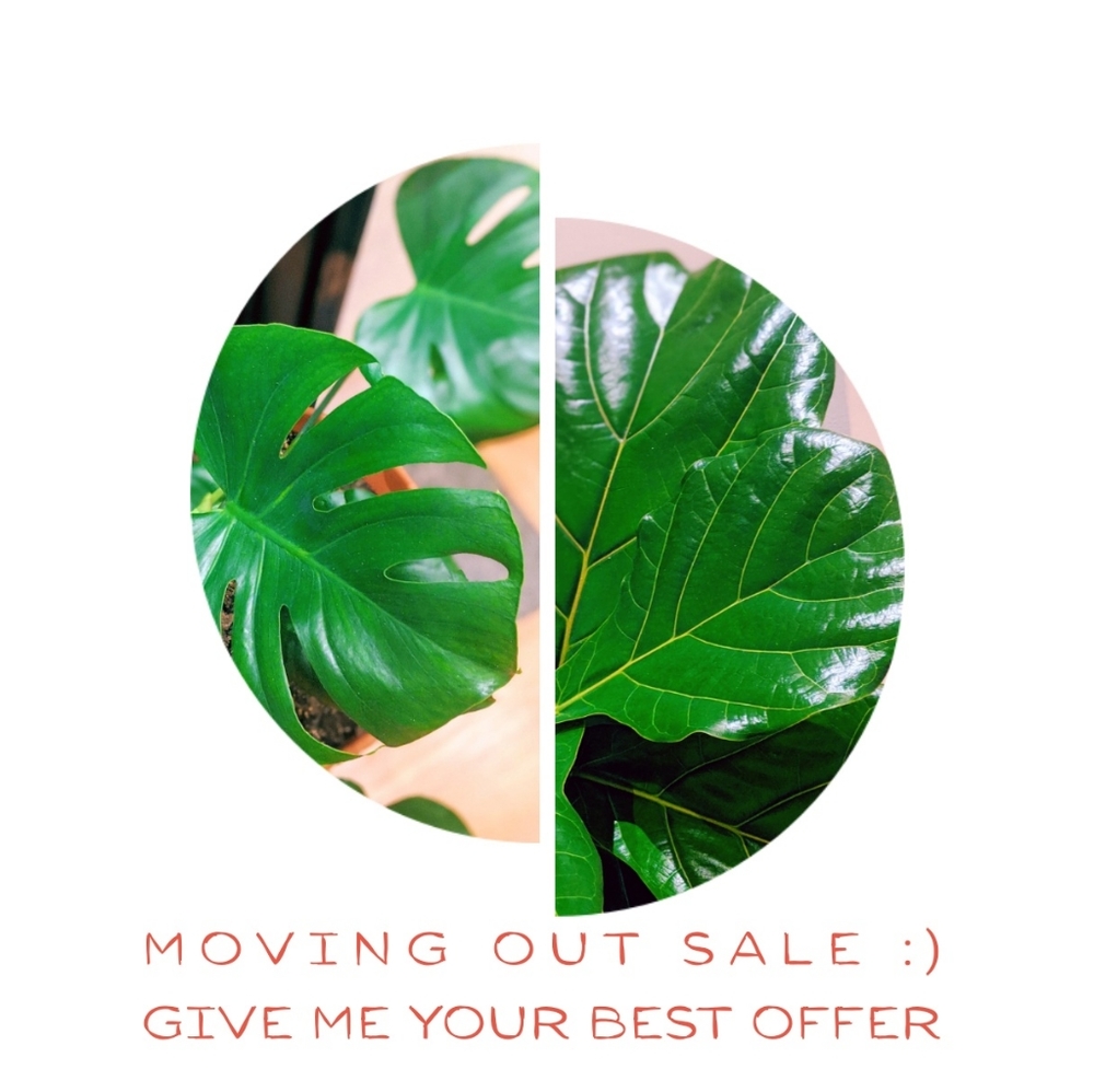 Everything! - image 1